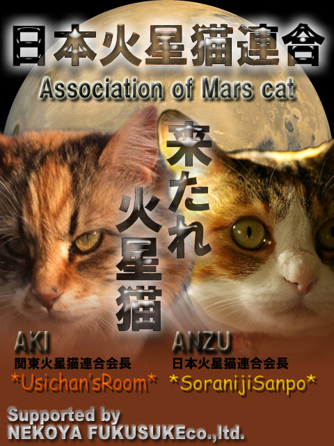 火星猫のコピー.jpg